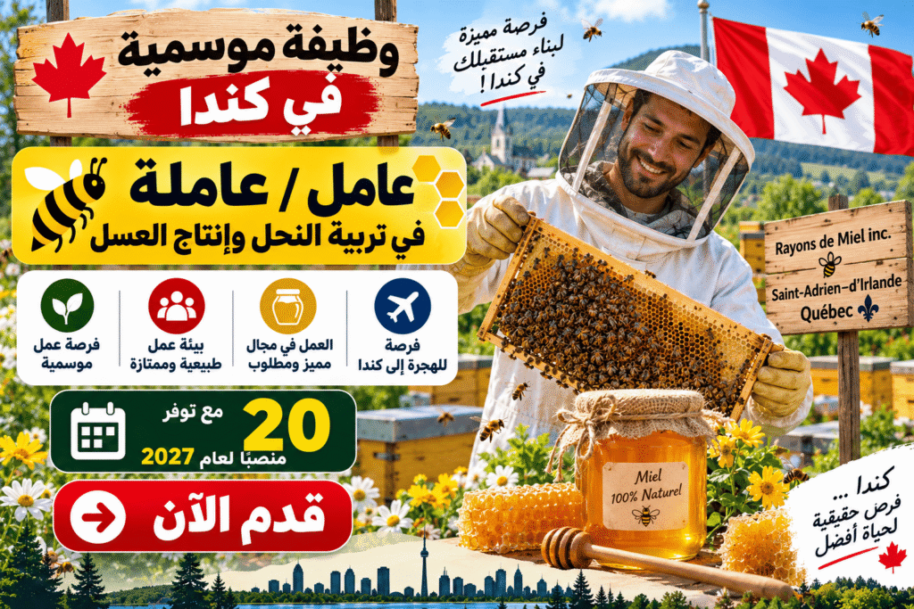 test 1 - الصورة 2
